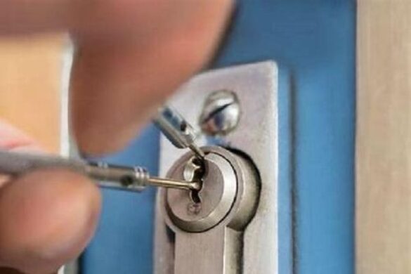 Asistenční služba k pojištění majetku zajistí zámečníka i likvidaci vosího hnízda.